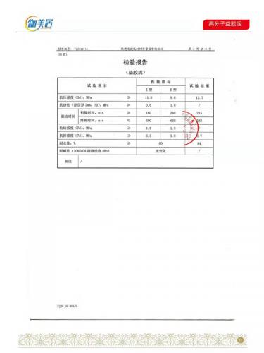 高分子益膠泥合格報(bào)告